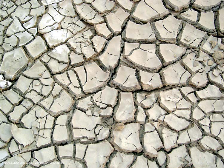 Estudios de impacto ambiental
