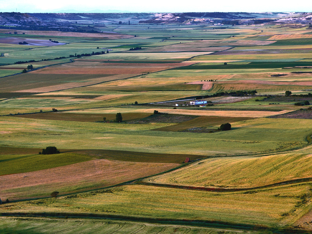 Innovación en campos ambientales y territoriales